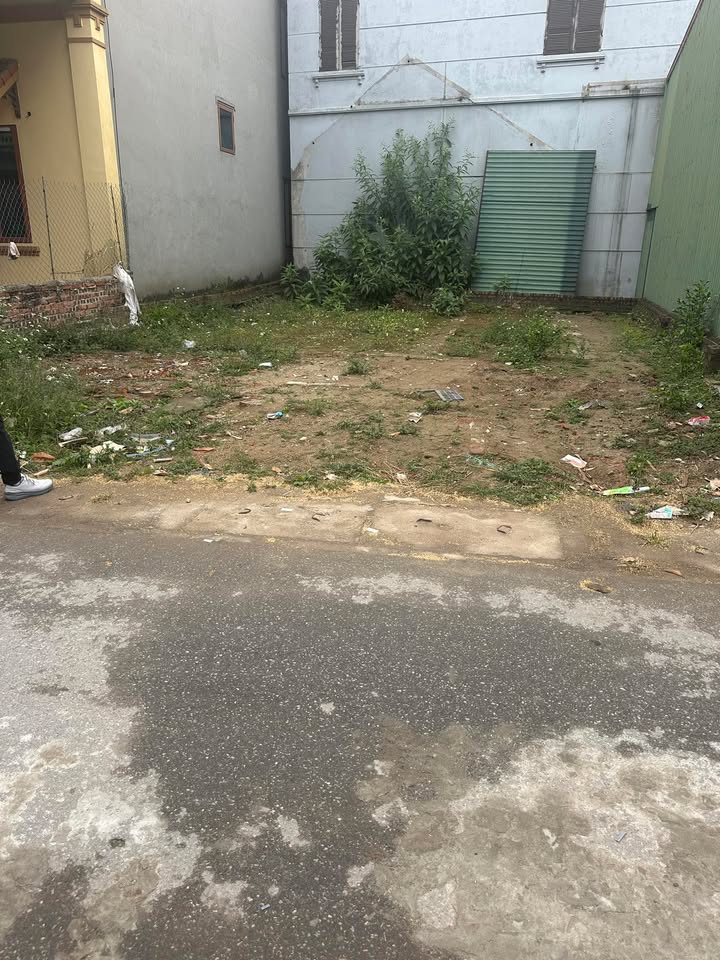 Đất nền Bến Long - Phường Song Liễu - 98m², Giá 4.5 tỷ - Đầu tư sinh lời mạnh!