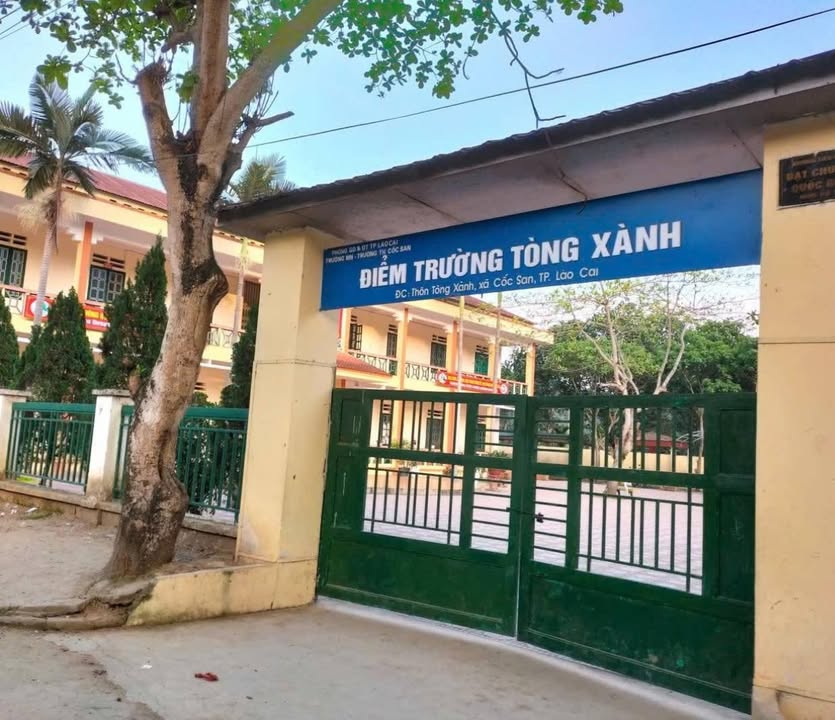 Đất nền đầu tư tại xã Tòng Sành, 154m² giá chỉ 400 triệu - Tiềm năng sinh lời cao!