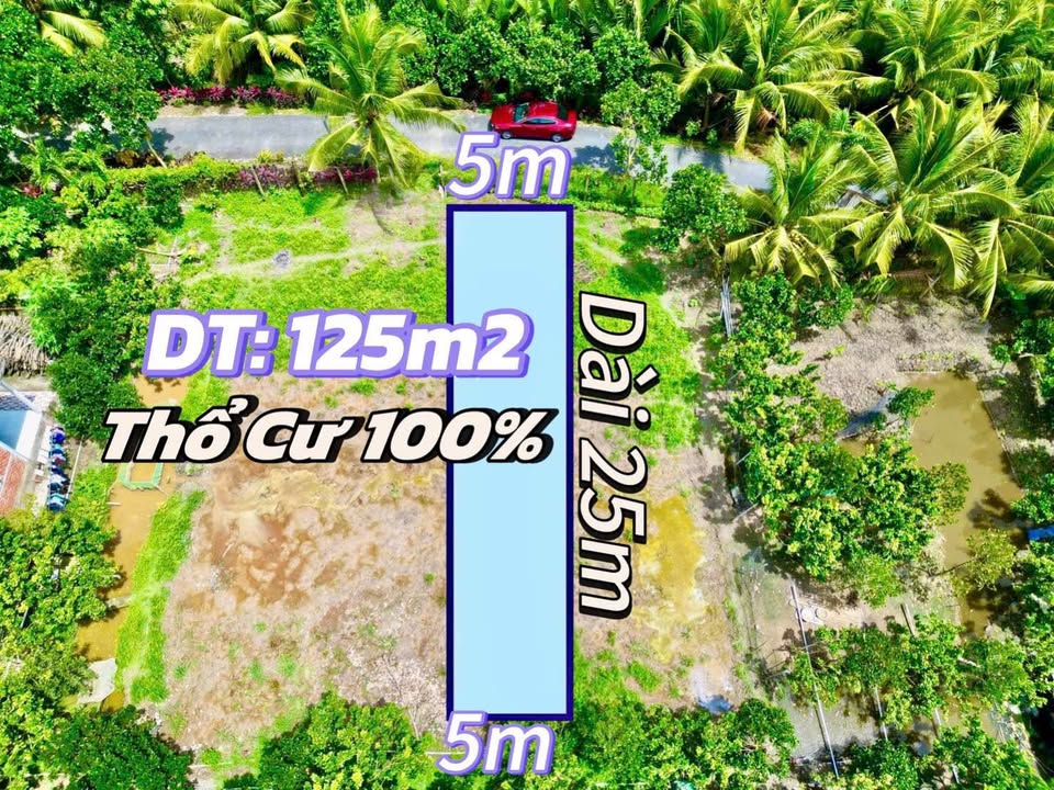 Đất nền Ấp Đồng Bé, Xã Tân Long, 125m² giá 260 triệu - Sổ hồng chính chủ