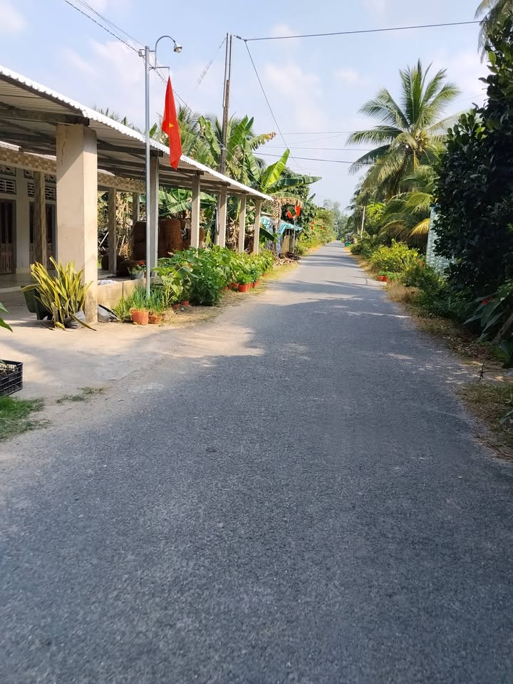 Đất nền 150m² xã Tân Long Hội giá 320 triệu - Cơ hội đầu tư hấp dẫn!