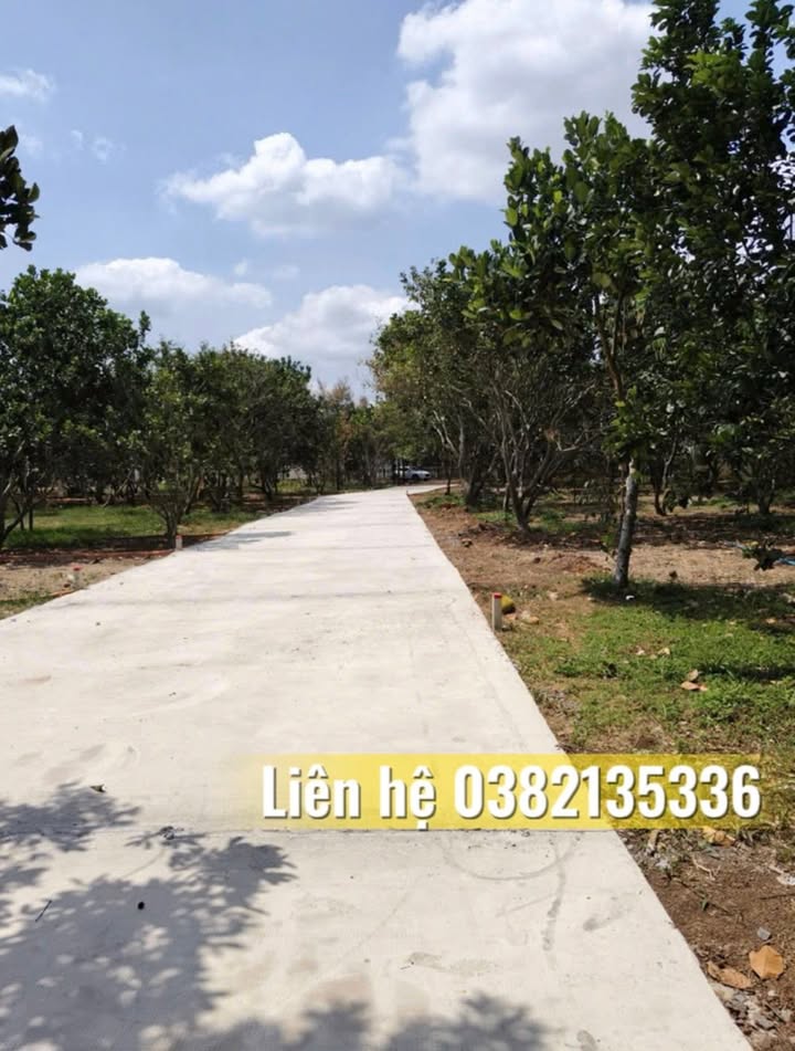 Đất nền Bình Lộc 210m² giá 1 tỷ - Cơ hội đầu tư hấp dẫn!