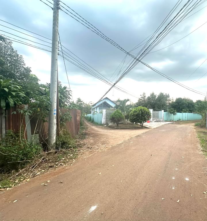 Đất vườn Bàu Sen Long Khánh 3000m² giá 4.5 tỷ - Đầu tư sinh lợi ngay!