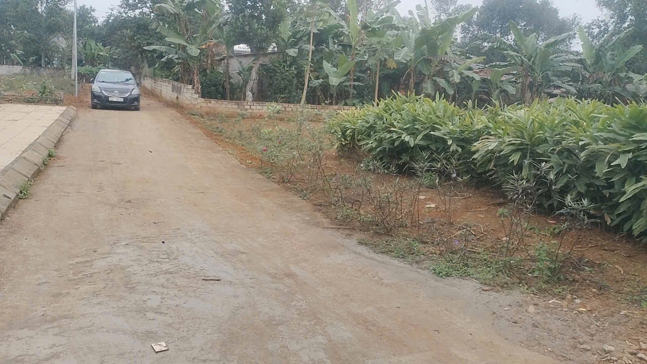 Đất thổ cư tại Thọ Tân, Triệu Sơn, 345m² - Cơ hội đầu tư sinh lời ngay!