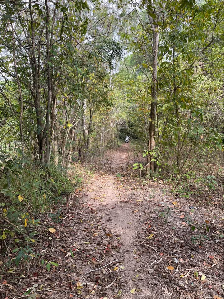 Đất vườn 10,7 công tại phường Tịnh Biên, giá 1,605 tỷ - Cơ hội đầu tư lý tưởng!