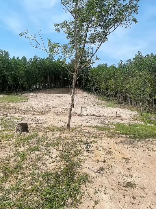 Đất nền 660m² Suối Thơm - Khánh Đông - Giá chỉ 349 triệu - Cơ hội đầu tư tuyệt vời!