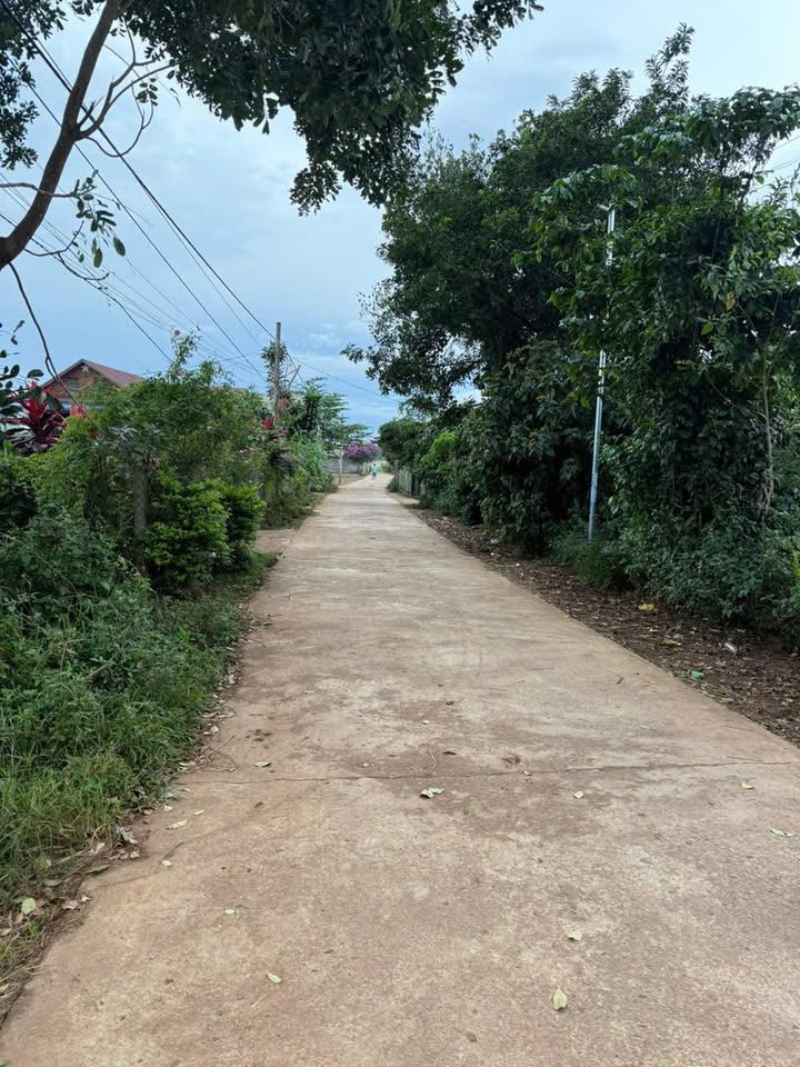 Đất mặt đường bê tông xã N'Thol Hạ 1330m² giá 1.499 tỷ - Cần bán gấp!