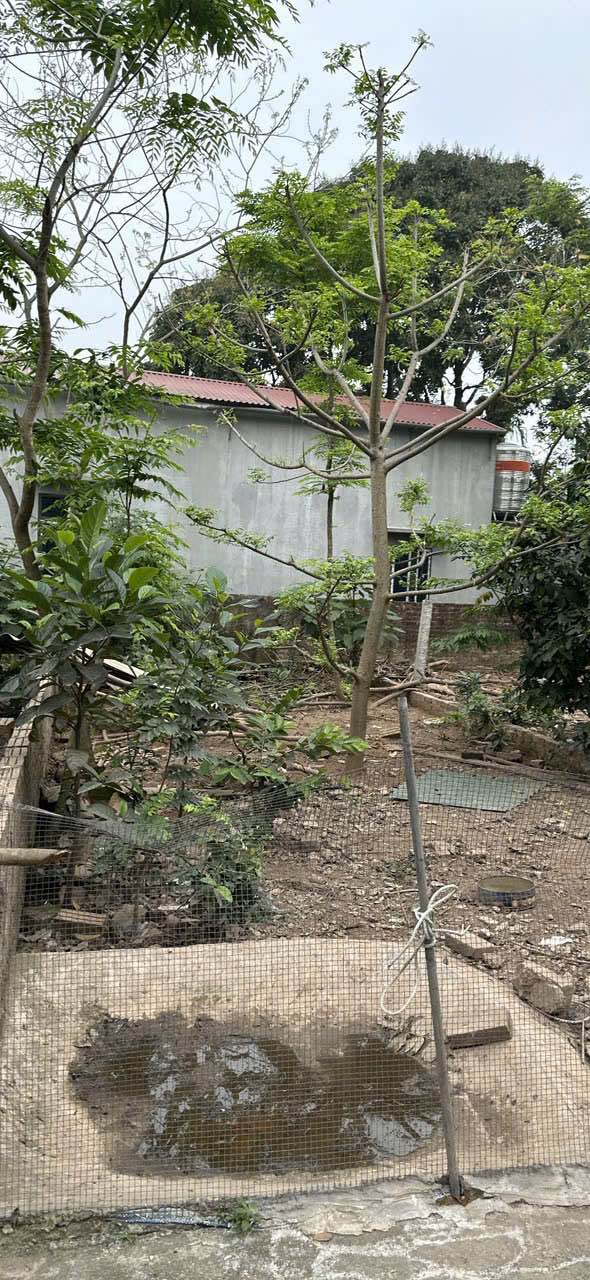 Đất nền 53.9m² tại Kiến Hưng, Hà Đông giá 2.9 tỷ - Chính chủ bán gấp!