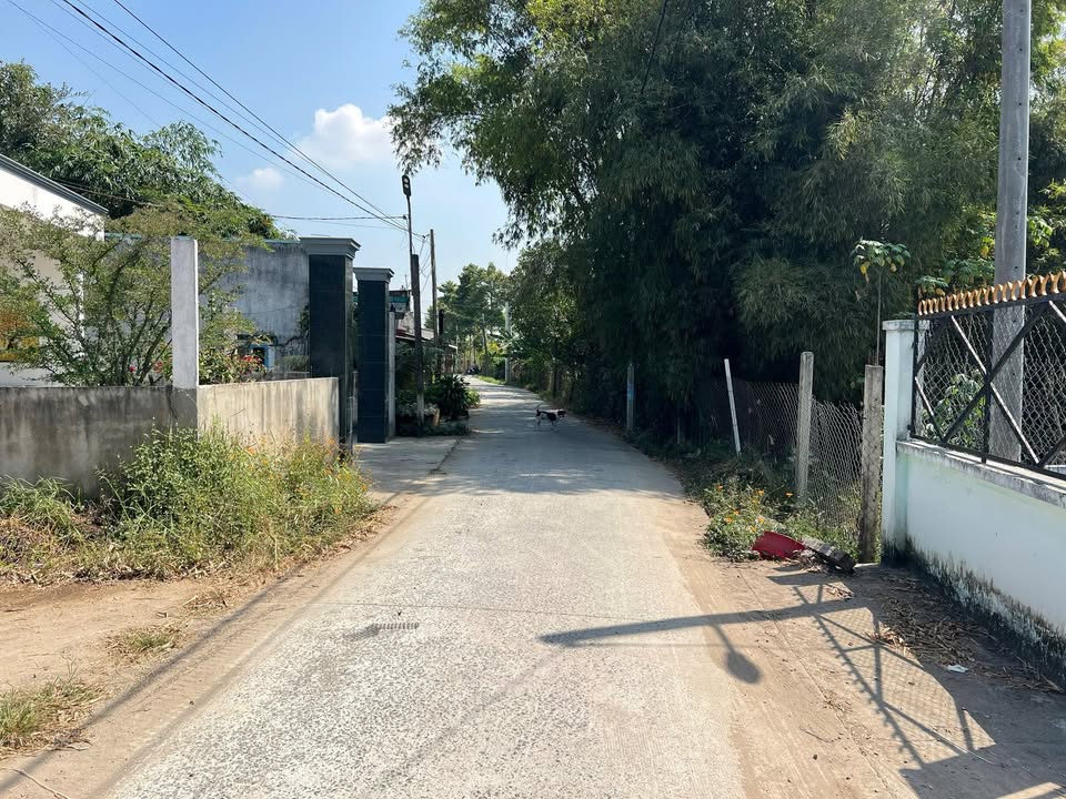 Nhà cấp 4 Hòa Khánh Đông, 100m² giá 1.27 tỷ - Sổ hồng chính chủ ngay!