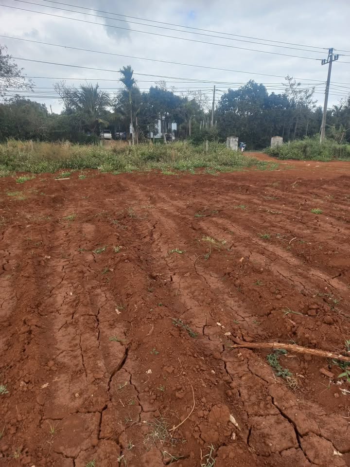 Đất thổ cư mặt tiền Tỉnh lộ 8, xã Ea Ngai, 850m² giá 2.125 tỷ - Cơ hội đầu tư hấp dẫn!