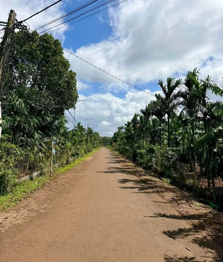 Đất nền đường Tống Duy Tân, Thiện An, 182m² giá 1.999 tỷ - Đầu tư sinh lời ngay!