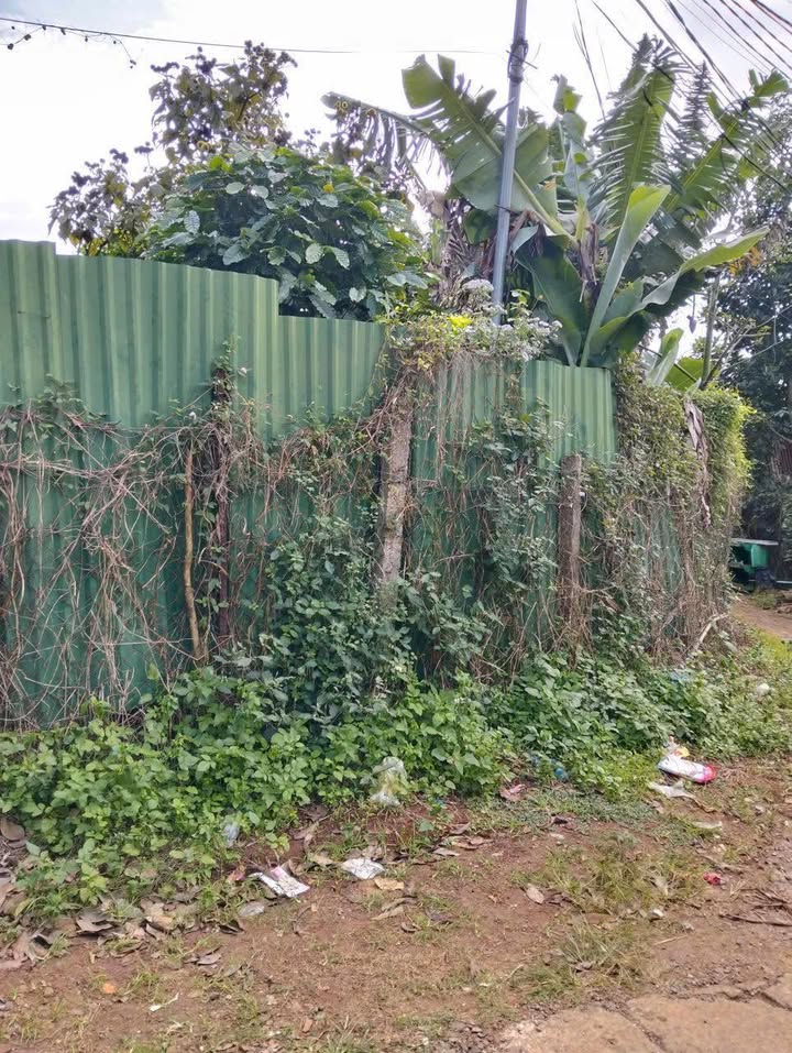 Đất nền Lê Quý Đôn, Quận 3, 217m² giá 1.3 tỷ - Đầu tư sinh lời cao!