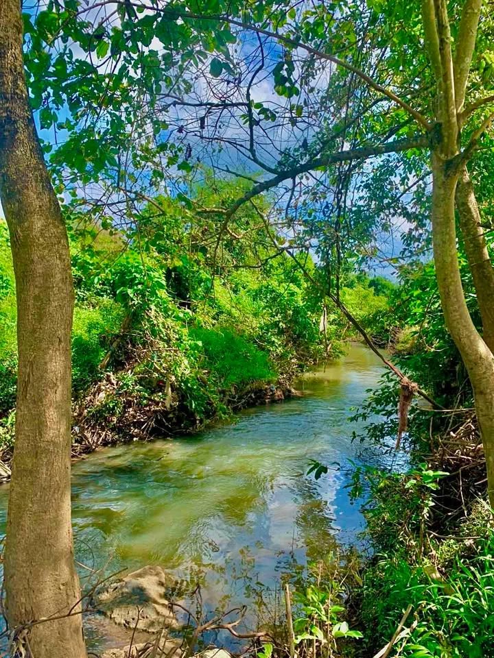 Đất nền Lộc Thịnh 250m² giá 450 triệu - Cơ hội đầu tư tuyệt vời!