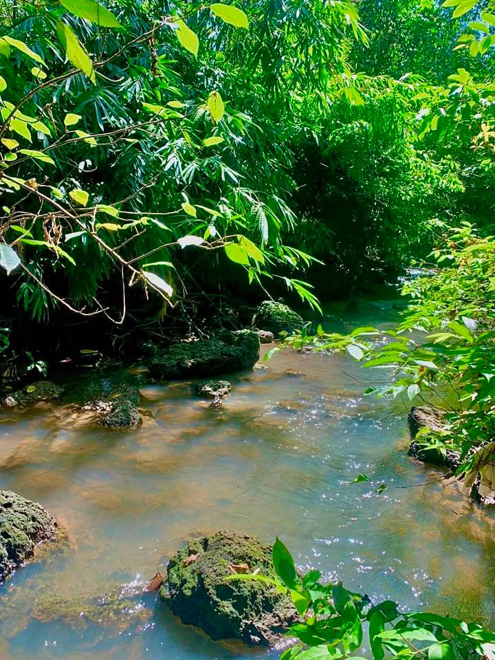 Đất nền Lộc Tấn 500m² giá 270 triệu - Cơ hội đầu tư vàng!