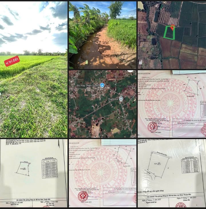 Đất trồng cây lâu năm tại Hàm Chính 1.070m² giá 250 triệu - Sổ đỏ chính chủ ngay trong ngày!