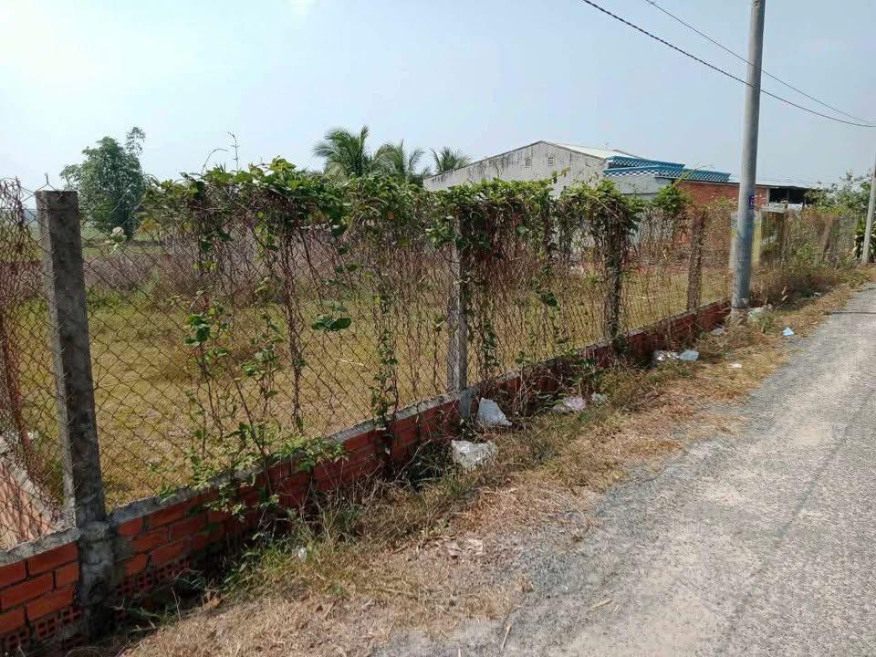 Đất nền 100m² giá 3.1 tỷ - Đường nhựa, chính chủ bán gấp