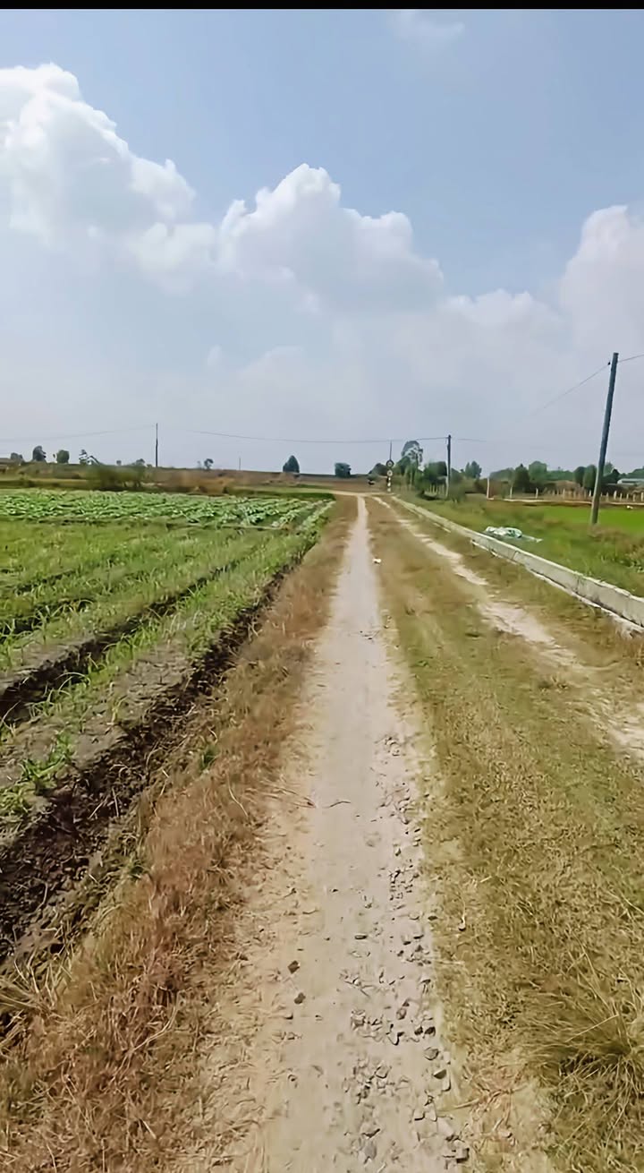 Đất nền xã Hảo Đước, Châu Thành, Tây Ninh 1404m² giá 450 triệu - Cơ hội đầu tư tuyệt vời!