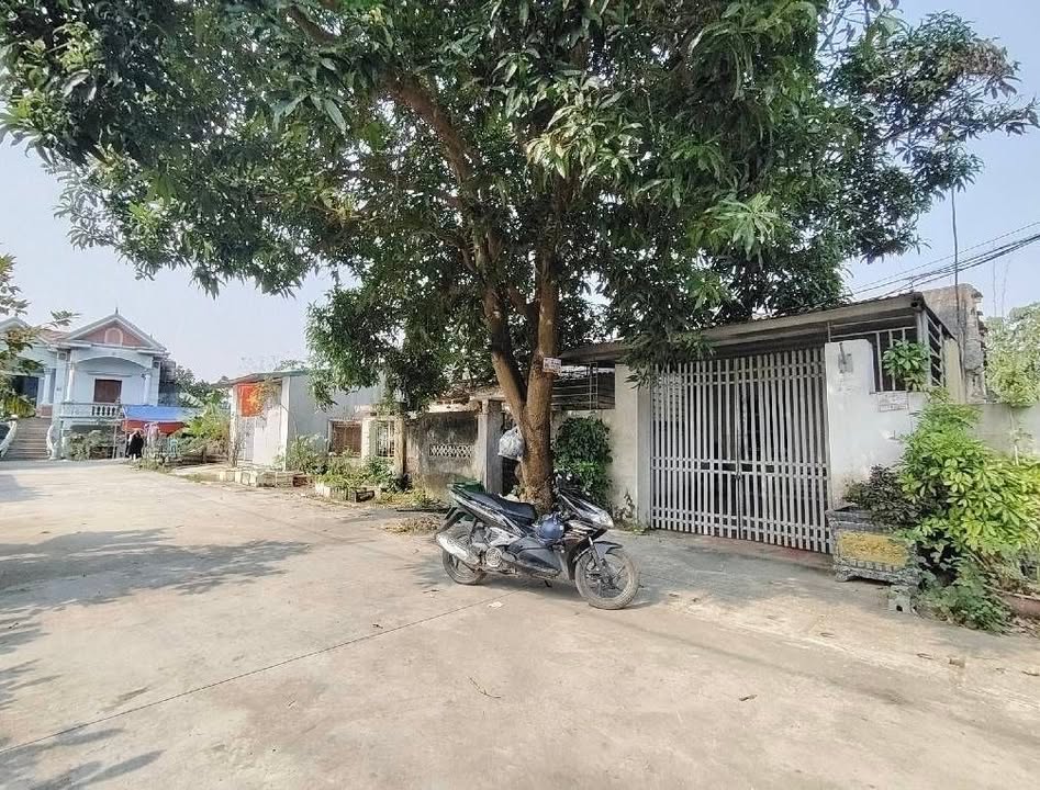 Đất nền Tiên Dược, Sóc Sơn 124m² - Giá thỏa thuận, cơ hội đầu tư tốt!