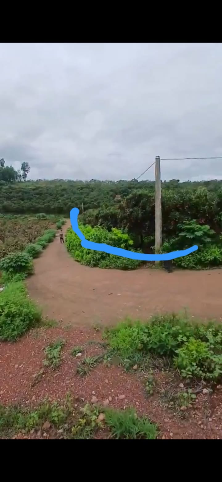 Đất vườn 3000m² tại Thị trấn Biển Động, Lục Ngạn - Đầu tư lý tưởng