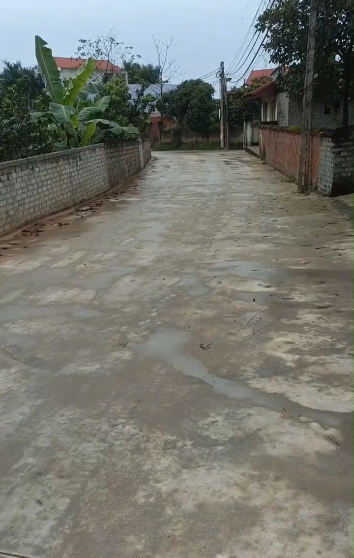 Đất nền liền kề 300m² tại xã Tam Dị, Lục Nam - Đầu tư sinh lời!