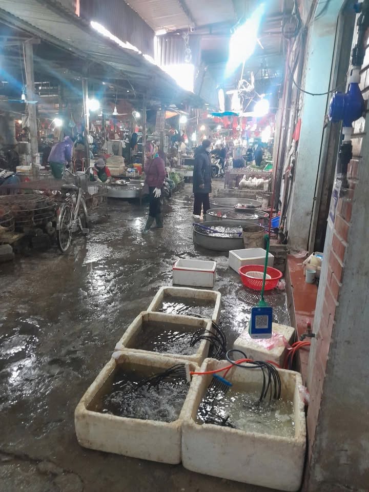 Shophouse Chợ Thanh Xuân Lục Nam 30m² giá 2.525 tỷ - Kinh doanh thuận lợi!