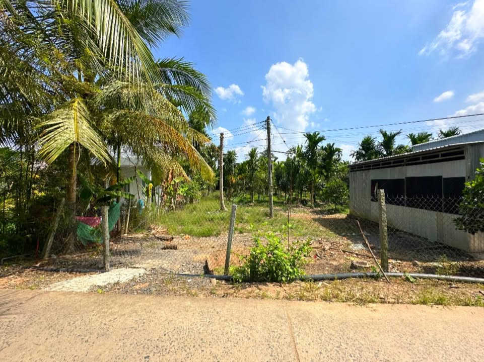 Đất nền Lộ Đal Thới An Hội 570m² giá 700 triệu - Sổ hồng chính chủ!