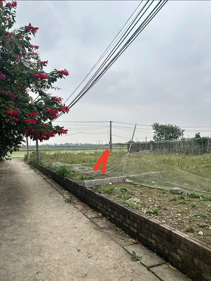 Đất nền Phùng Nguyên, Lâm Thao 90m² giá 490 triệu - Cơ hội đầu tư hấp dẫn!