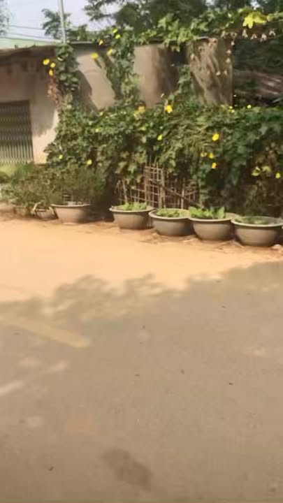 Đất thổ cư 140m² tại Khu 5 Hạ Hoà Phú Thọ chỉ 800 triệu - Cơ hội đầu tư tốt!