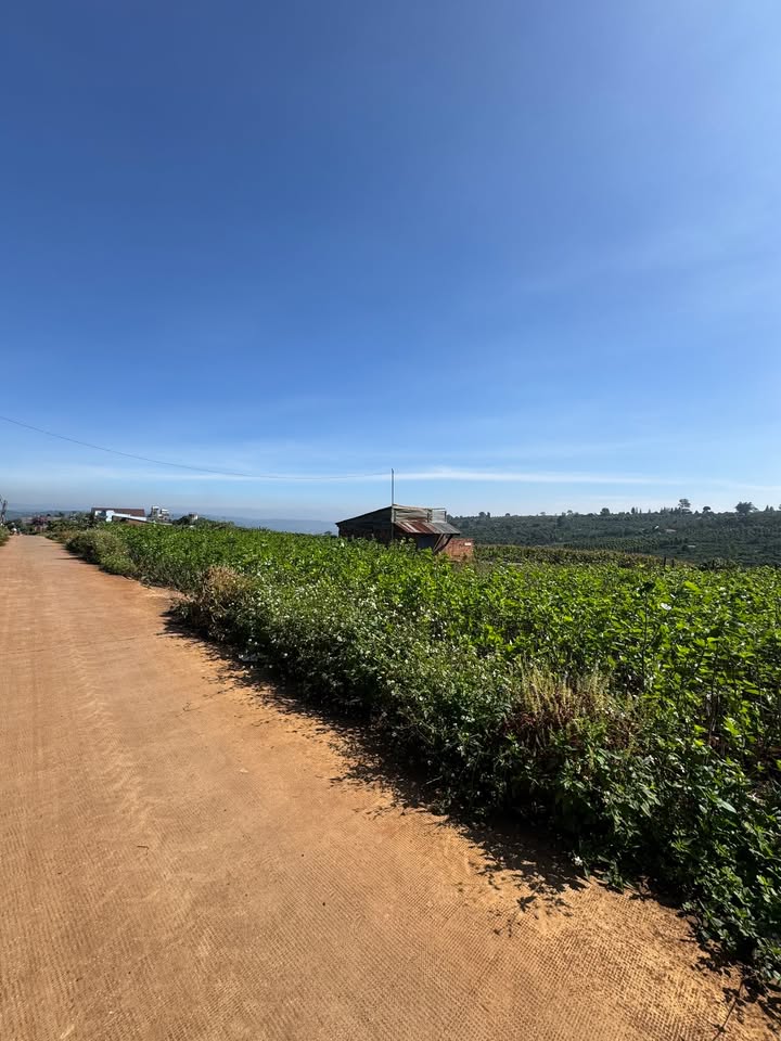 Đất nền Đức Trọng 547m² giá chỉ 1 tỷ - Pháp lý rõ ràng, đầu tư tiềm năng!