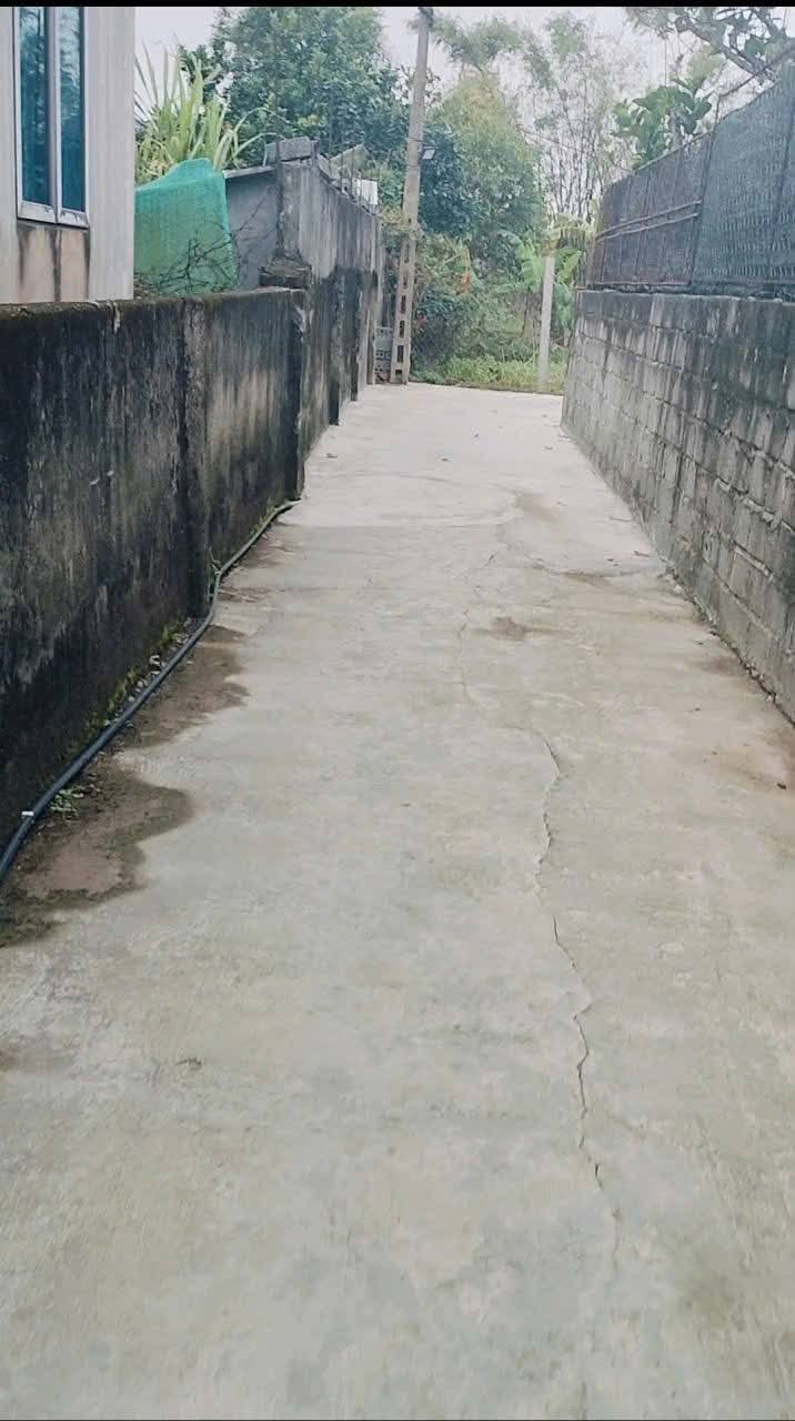 Lô đất góc tại xóm 5 Nghĩa Phú, 198m² chỉ 500 triệu - Cơ hội đầu tư tuyệt vời!