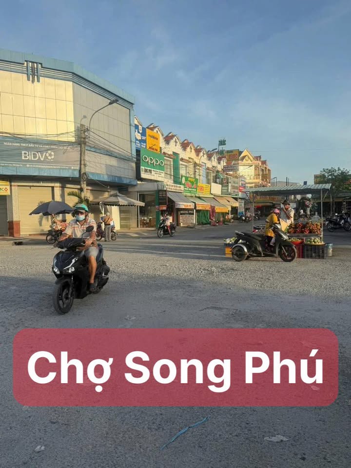 Đất nông nghiệp 7000m² Xã Song Phú - Giá chỉ 1 tỷ - Diện tích rộng, mặt tiền đẹp
