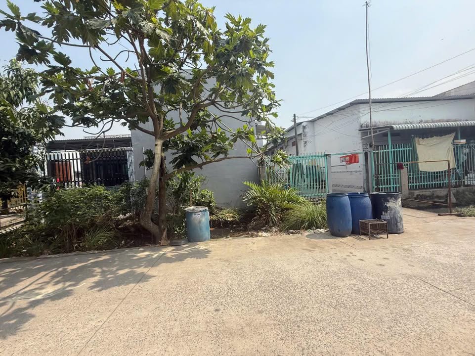 Nhà riêng 140m² xã Tân Nhựt, Bình Chánh giá chỉ 3.6 tỷ - Thanh lý ngân hàng gấp!