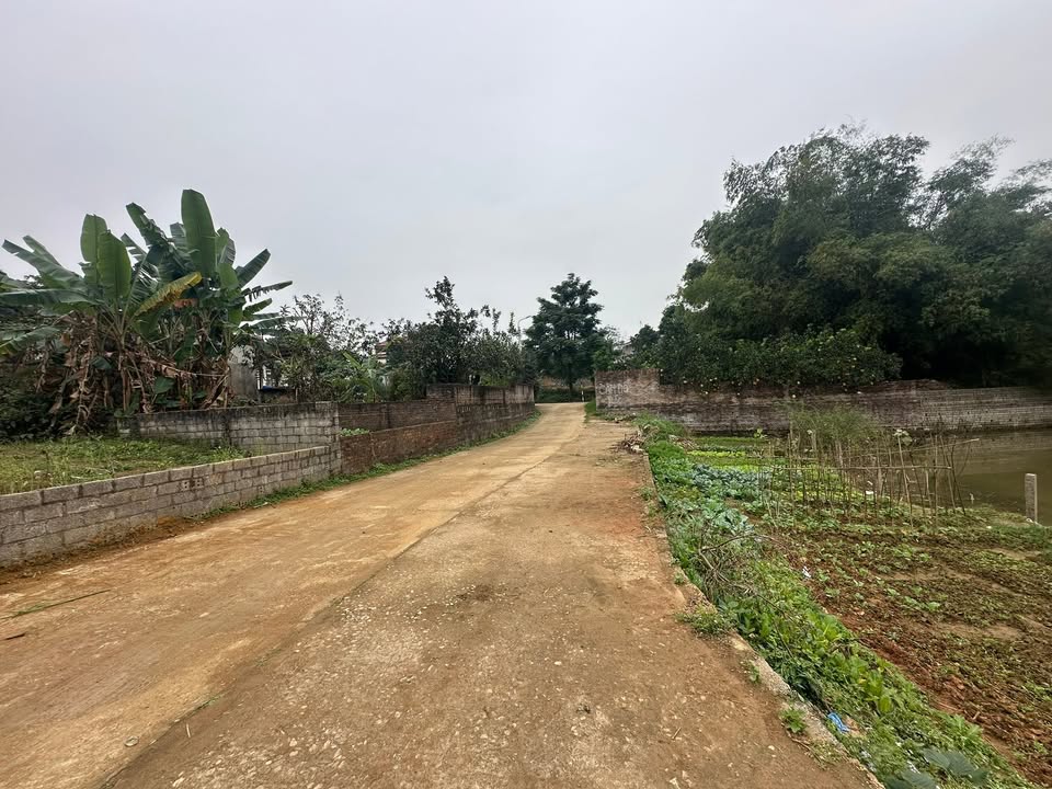 Đất nền Hạ Bằng 256m² giá 5.12 tỷ - Sổ đỏ chính chủ, đầu tư ngay!