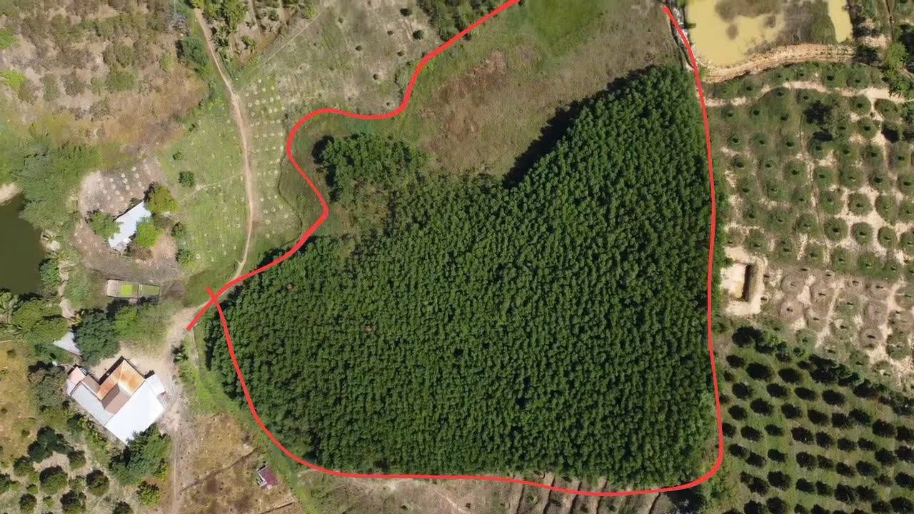 Đất vườn 1,2ha tại Nam Cát Tiên, giá 2,2 tỷ - Sổ đỏ chính chủ