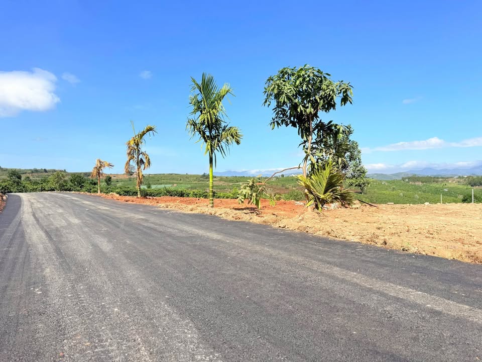 Đất nền 800m² Tân Văn, Lâm Hà giá từ 350 triệu - Cơ hội đầu tư hấp dẫn!