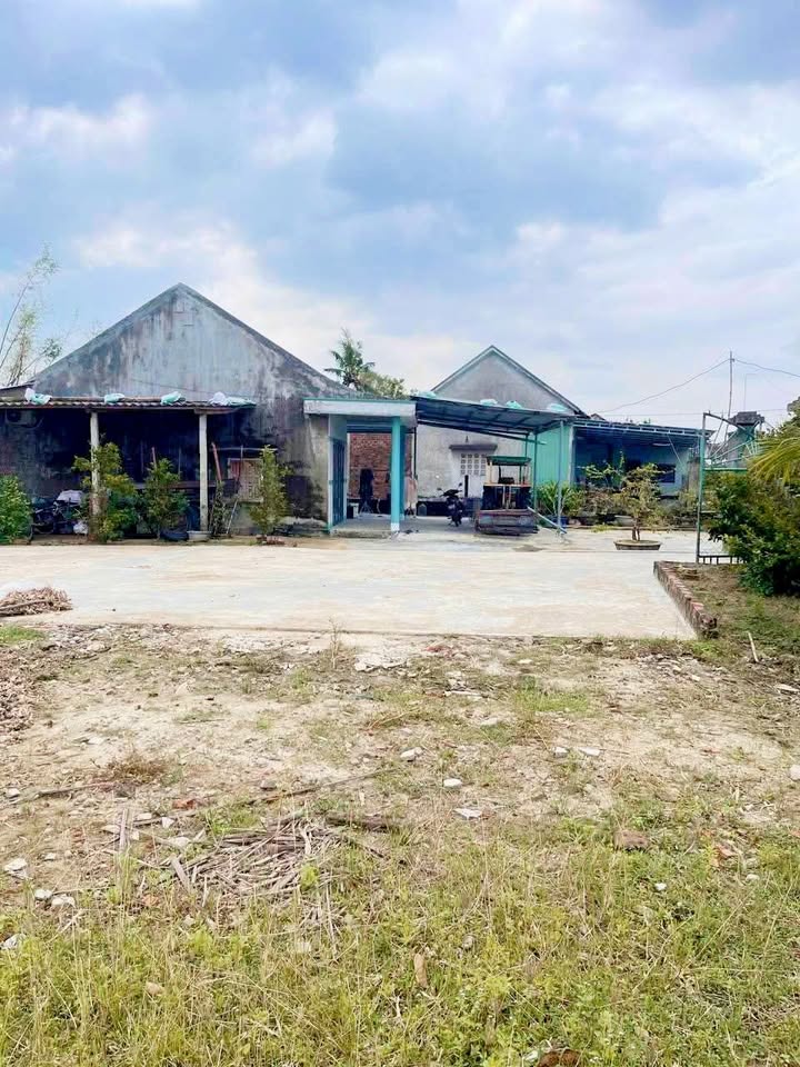 Đất thổ cư Cát Trinh 100m² giá thỏa thuận - Cơ hội đầu tư tuyệt vời!