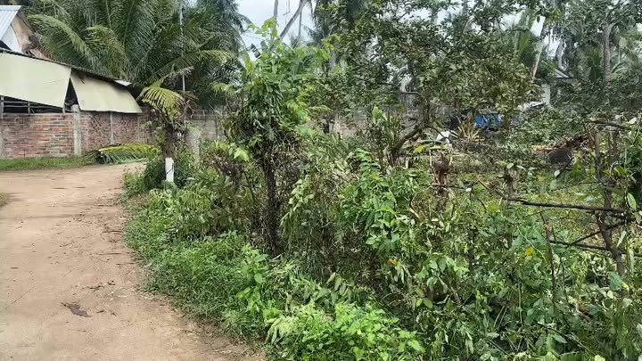 Đất nền 400m² tại KP Tăng Long 2, Tam Quan Nam - Đầu tư sinh lời ngay!