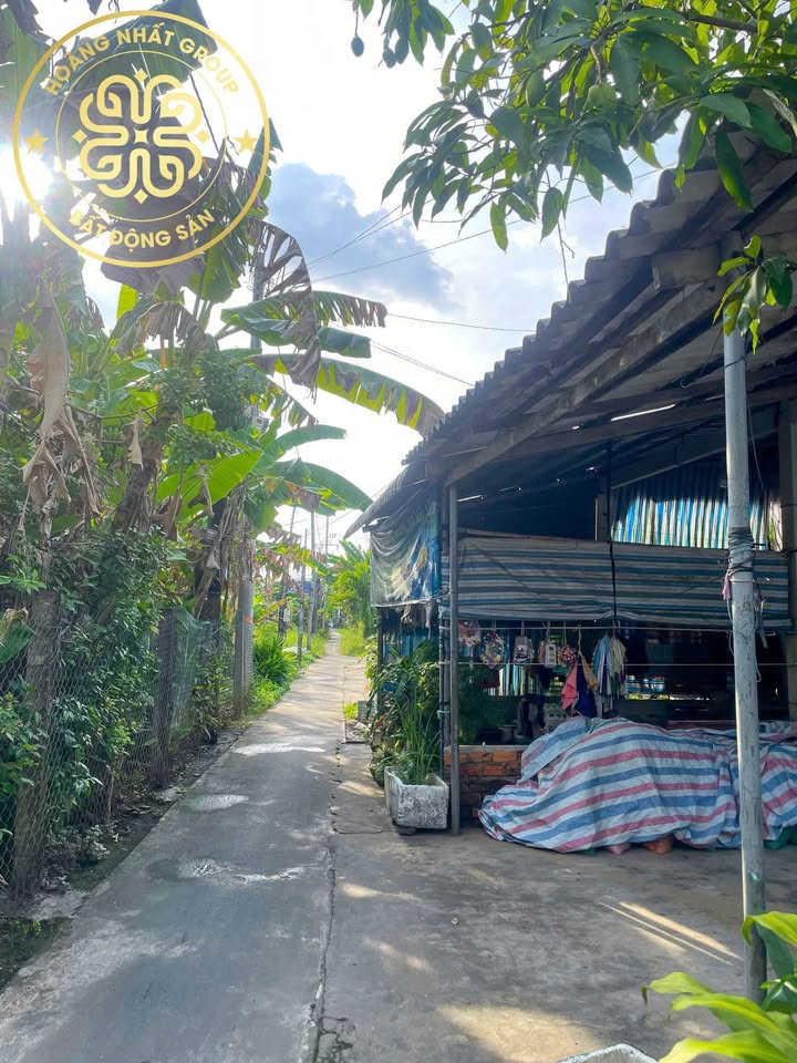 Nhà cấp 4 tại Phường 7, Cà Mau 100m² giá 700 triệu - Đầu tư sinh lời ngay!