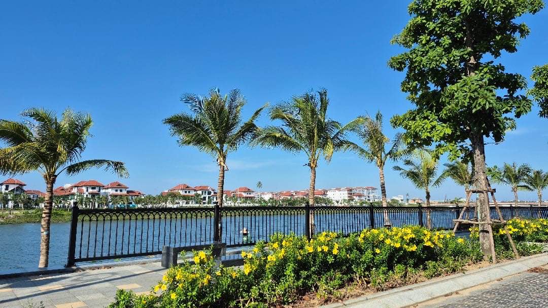 Đất Nam Hòa Xuân Đà Nẵng 100m² giá 8 tỷ - Tiềm năng tăng giá mạnh!