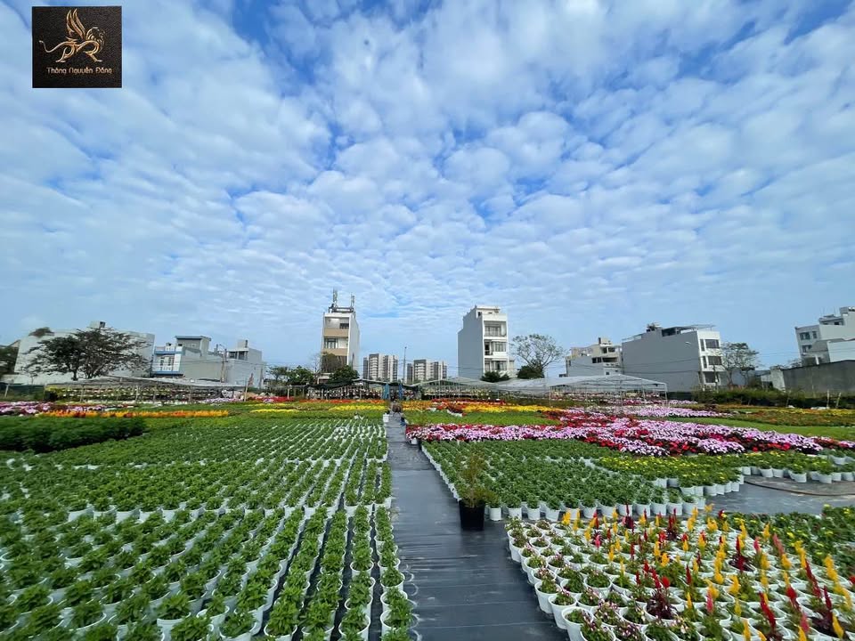 Townhouse Khu Saphia Đà Nẵng 157.5m² giá 21 tỷ - Vị trí đắc địa