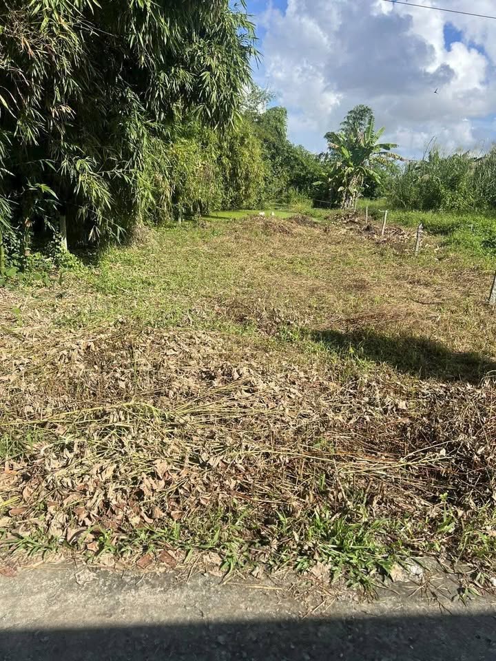 Đất nền mặt tiền Rạch Cà Lang, Kiên Giang 319,5m² giá 700 triệu - Cơ hội đầu tư hấp dẫn!