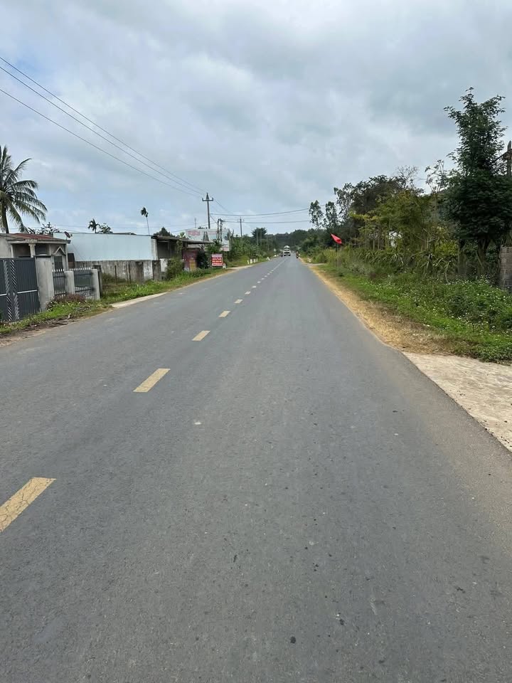 Đất mặt tiền Tỉnh Lộ 9 huyện Krông Bông 784m² - Đầu tư sinh lời lý tưởng!