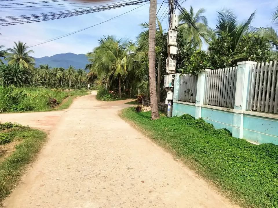 Đất nền Cự Lễ - Hoài Phú 98m² giá 300 triệu - Sổ đỏ chính chủ, tiện ích đầy đủ!