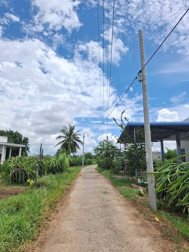 Đất thổ cư 100m² ngay UBND xã Hàm Liêm - Tiềm năng sinh lời cao chỉ 300 triệu!