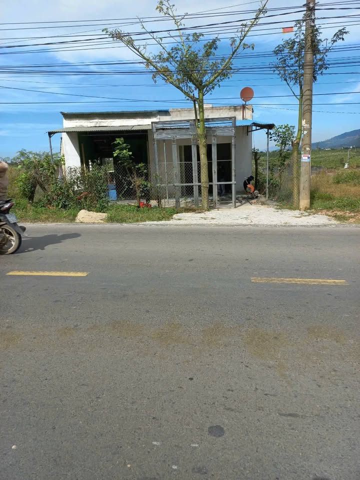 Đất mặt tiền Quốc lộ 725, Xã N'Thol Hạ, 1190m² - Giá đầu tư chỉ 3 tỷ!