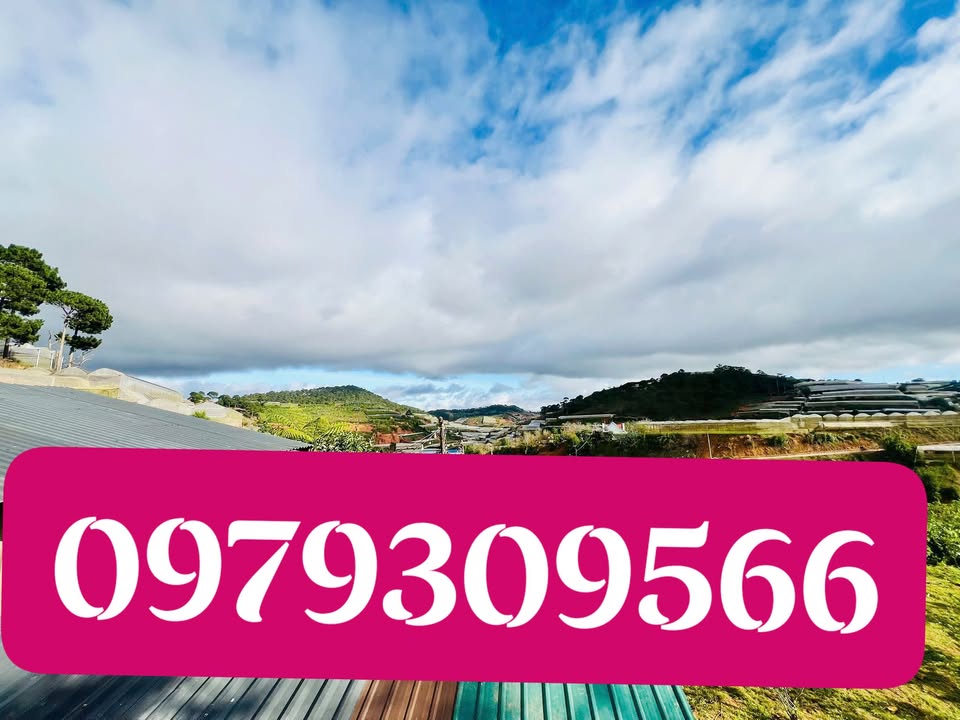 Đất nền Xuân Thọ Đà Lạt 1500m² giá 2.5 tỷ - Đầu tư lý tưởng