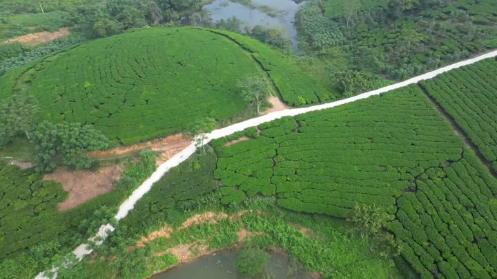 Đất nền Yên Sơn, Thanh Sơn 6000m² giá 1 tỷ - Cơ hội đầu tư tuyệt vời!