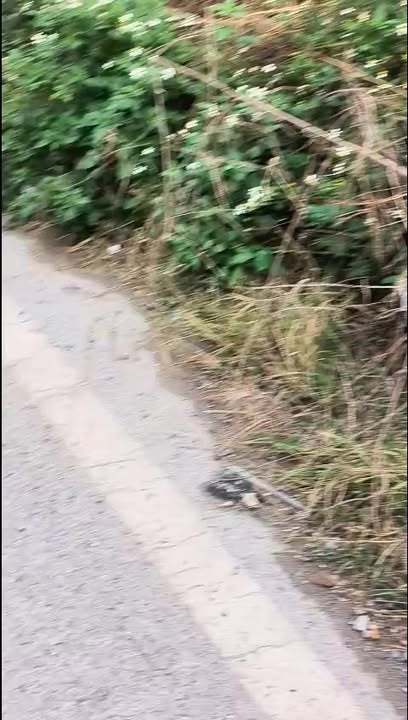 Đất thổ cư 60m² tại xã Liên Xuân, Thủy Nguyên - Giá tốt, sổ hồng lâu dài!