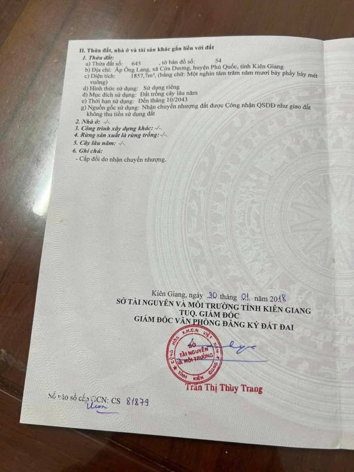 Đất nền 1857m² tại Ấp Ông Lang, Phú Quốc - Giá thương lượng hấp dẫn!