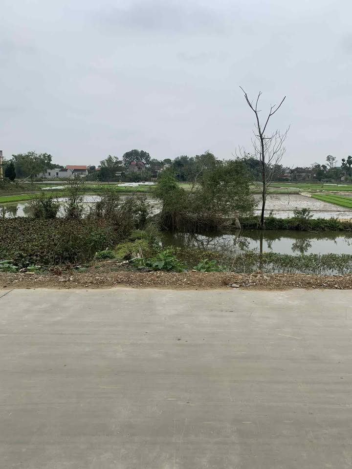 Đất nền chính chủ tại Thôn 8, Xã Dân Quyền, 144m² - Cơ hội đầu tư hiếm có!