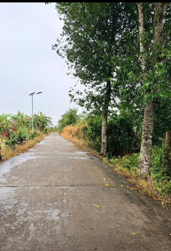 Đất nền thổ cư 300m² tại Phường Đông Thành, Vĩnh Long - Giá đầu tư chỉ 499 triệu!